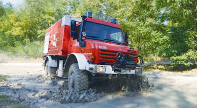 ZETROS, GATA DE ORICE - Photo