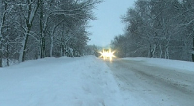 COD GALBEN de ninsori! - Photo