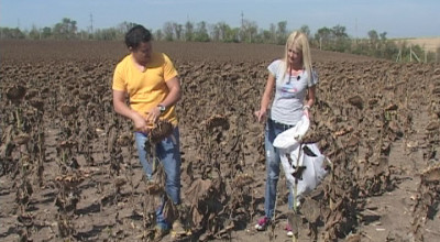 AutoExpert 15 septembrie 2012 - Photo