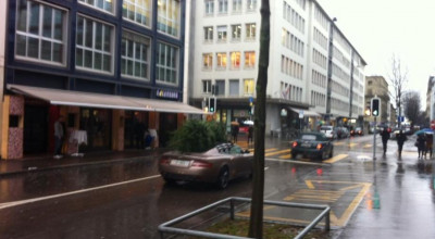 Transport de lux pentru brazii de Craciun - Photo