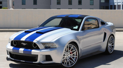 Need for Mustang - Photo