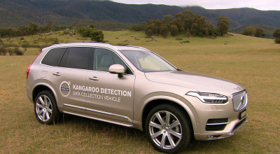 Volvo lucrează la dezvoltarea unui sistem de detectare a cangurilor! (VIDEO) - Photo