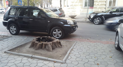 Sugestii pentru primărie! Iată câteva locuri de parcare GRATIS! - Photo