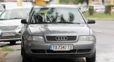 Mașinile ieftine bulgărești ar putea dispărea din Moldova! Află cînd și de ce. - Photo