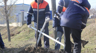 Ieri au început lucrările de scoatere a obiectelor funerare de pe marginea carosabilului! - Photo