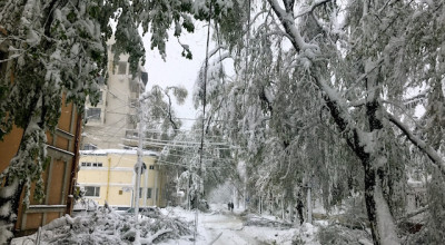 GALERIE: Cum arată ASTĂZI cele mai aglomerate străzi ale orașului. Zici că zombiecalipse! - Photo
