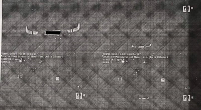 Este acuzat că a traversat intersecţia 