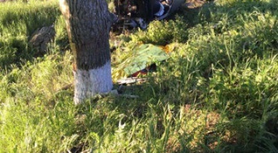 (VIDEO) Accident tragic la Hîncești! Un tânăr de 18 ani a decedat după ce s-a izbit violent într-un copac - Photo