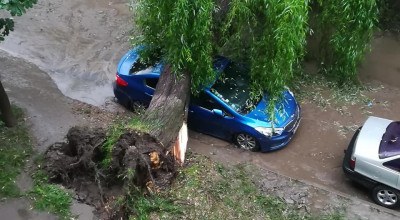 În timp ce Primăria inaugurează skate park-uri și organizează maratoane, în urma ploilor copacii cad peste mașini iar străzile sunt inundate - Photo