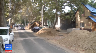 Reparațiile pe strada 31 August blocate de câțiva copaci. De 3 luni de zile, autoritățile nu pot decide ce să facă! - Photo