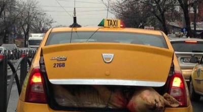 Poliția va amenda șoferii care transportă porci în portbagaj! - Photo