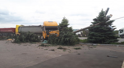 Accident la Orhei! Șoferul unui camion a doborât un stâlp și câțiva brazi din cauza carosabilului umed - Photo
