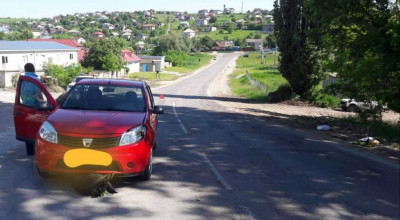 Un pieton de 87 de ani a decedat după ce a fost lovit de o Dacia, la ieșirea din Hîncești - Photo