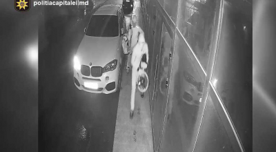 Poliția a reținut o grupare criminală care a furat piese de BMW în valoare de 2 milioane de lei! - Photo