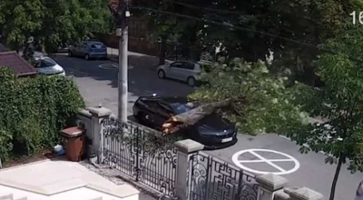 (VIDEO) Ghinion pentru șoferul unui BMW din Pitești, după ce un copac a căzut de două ori peste mașina sa! - Photo