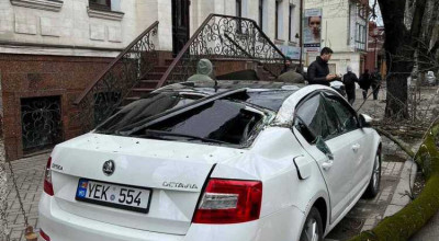 (FOTO) Un automobil Skoda a fost grav avariat, după ce mai multe crengi au căzut peste el - Photo