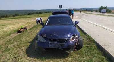 De la oameni, la oi! Un tânăr de 25 ani a intrat în plin într-o turmă de oi - Photo