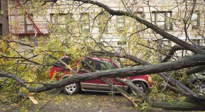 SHS prognozează Cod Galben de vânt puternic. Poliția vine cu recomandări - Photo