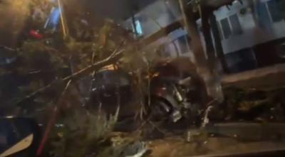 Șoferul unui Renault a doborât un brad la Ciocana. Oamenii legii au intervenit la locul impactului - Photo