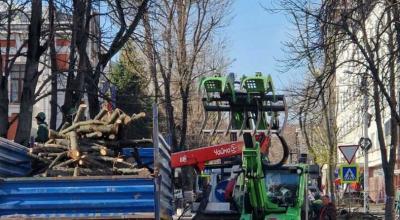 Pe 7 martie, Primăria va sista traficul rutier pe str. Academician Sergiu Rădăuțanu - Photo