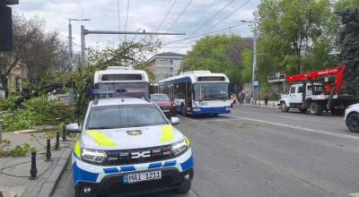 O creangă s-a prăbușit peste un troleibuz. Unele rute sunt redirecționate - Photo